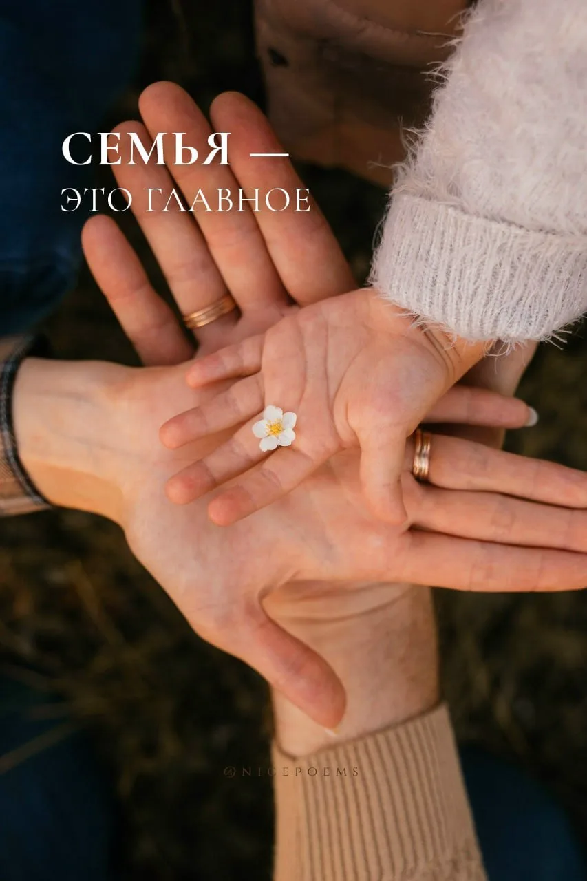 🤍 С Днём семьи, любви и верности.
