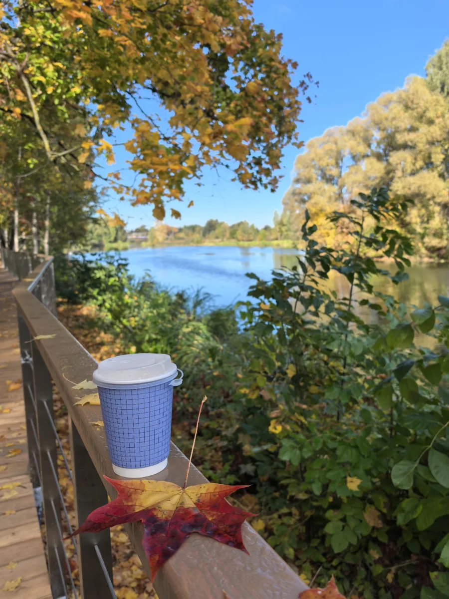 Осень в Щелковском парке 🍂