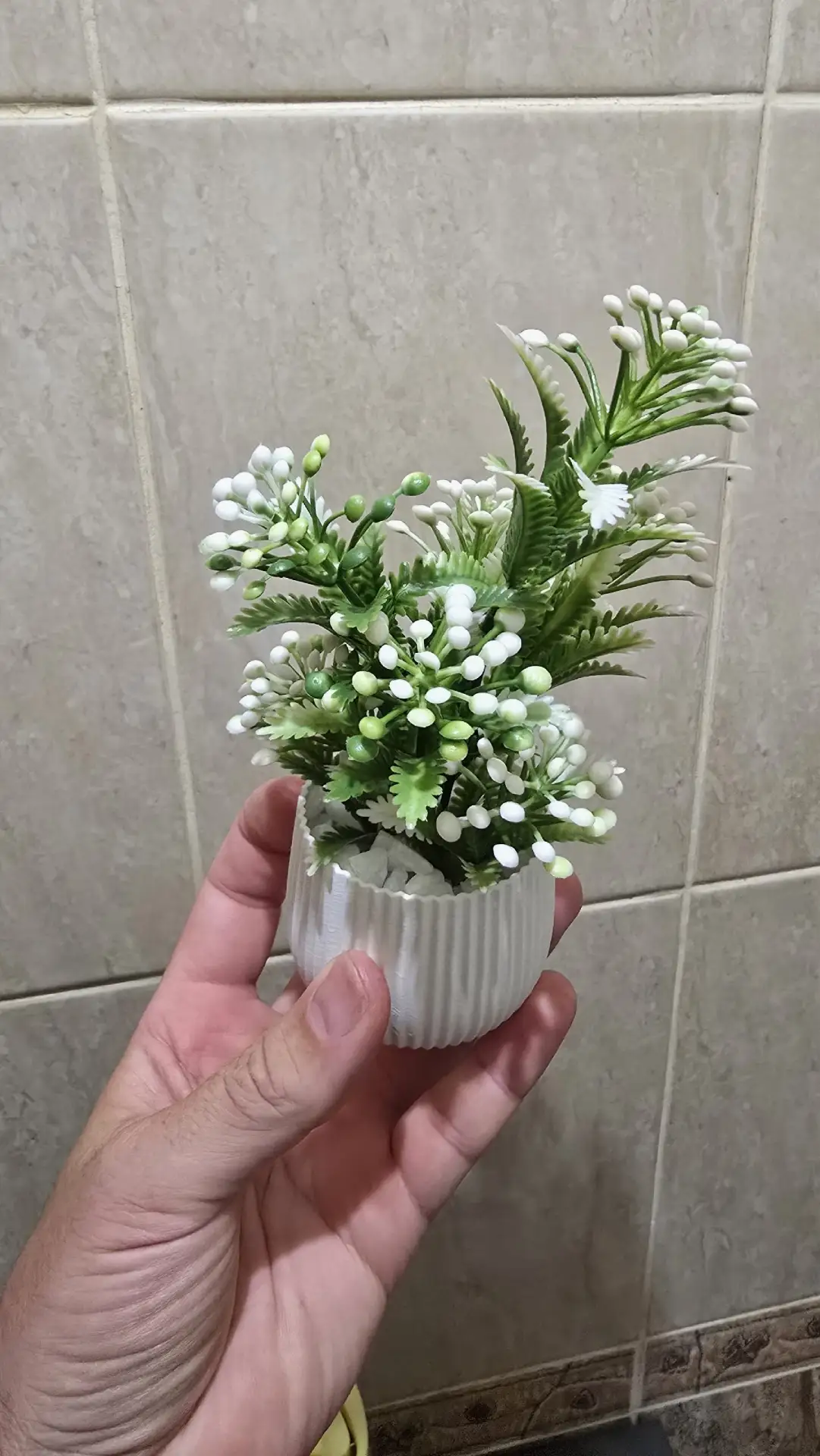Вот такую красоту сделали своими руками 🌿🤍 Горшочек распечатали на 3D-принтере, подоб...