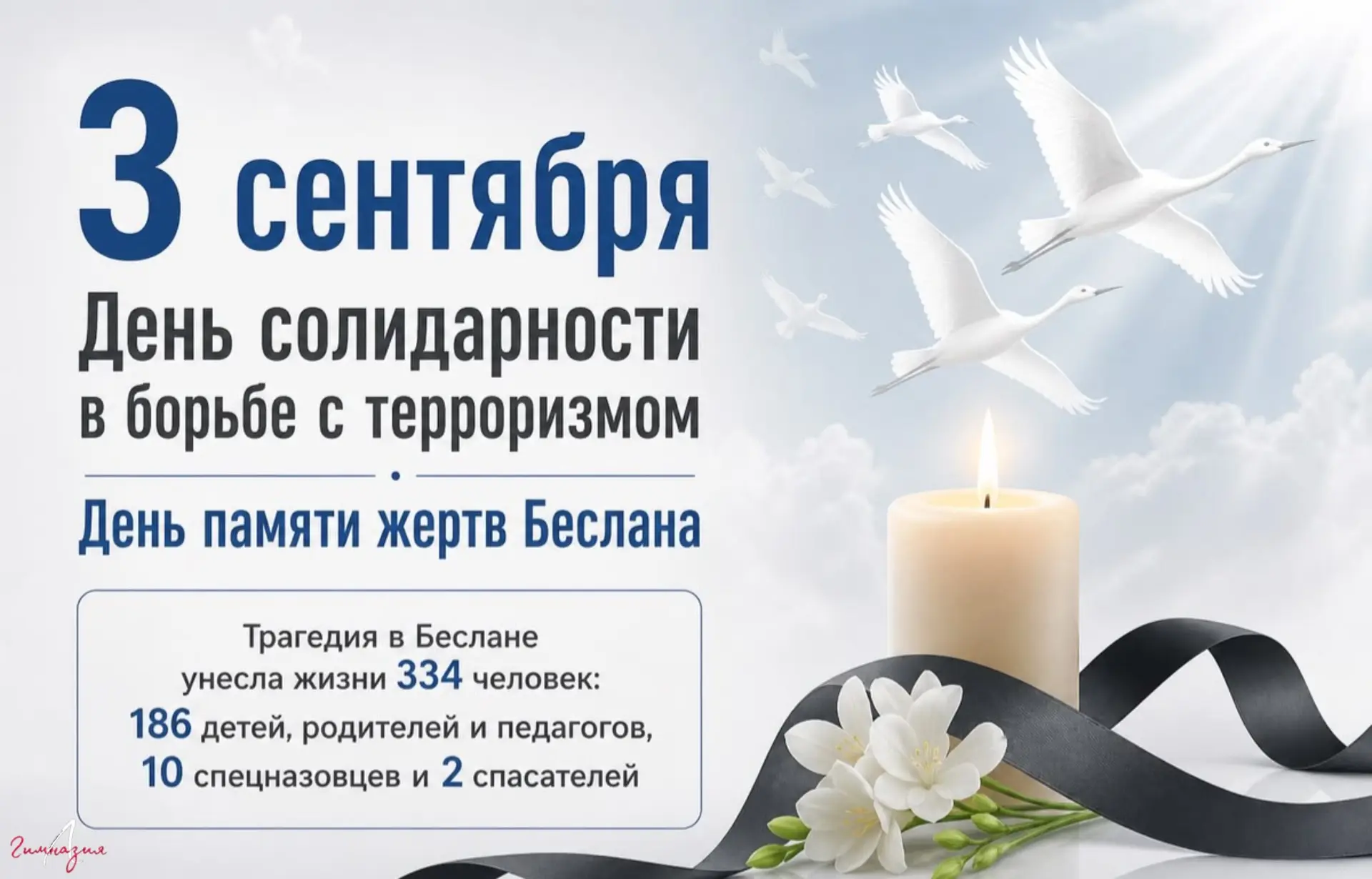 ❤️🦉✨3 сентября🗓️. День памяти и тишины.