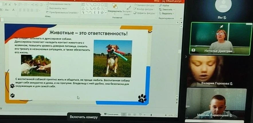 4 октября - Всемирный день защиты животных