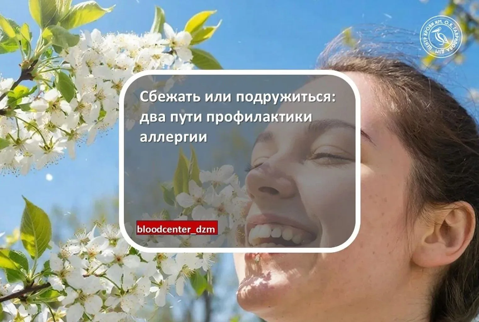 Сбежать или подружиться: два пути профилактики аллергии