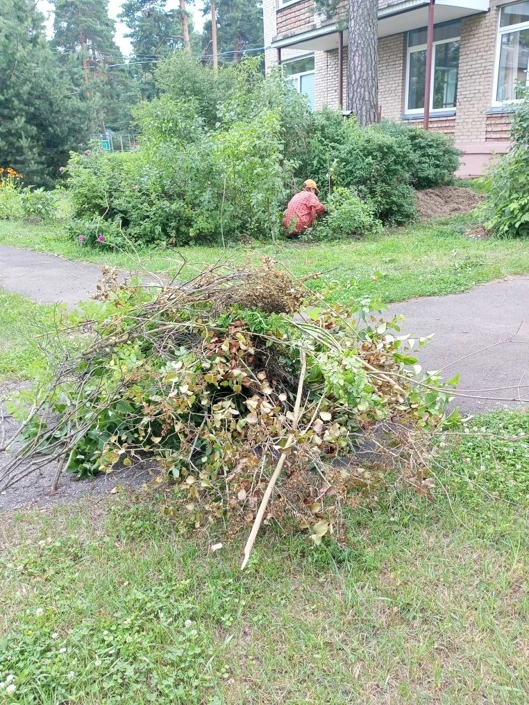 САДУ БЫТЬ!!! 🌳🌸

Под таким девизом начала работать команда волонтёров в Удельнинском ЦВР (ул. Октя