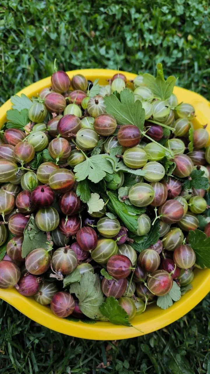 Доброе утро!

Сегодня ясно, до 25°C 🍒

Желаем энергии для важных дел и времени для того, что действ