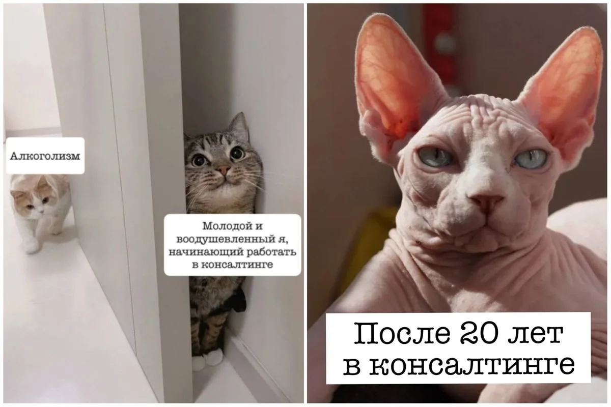 Буквально я😀