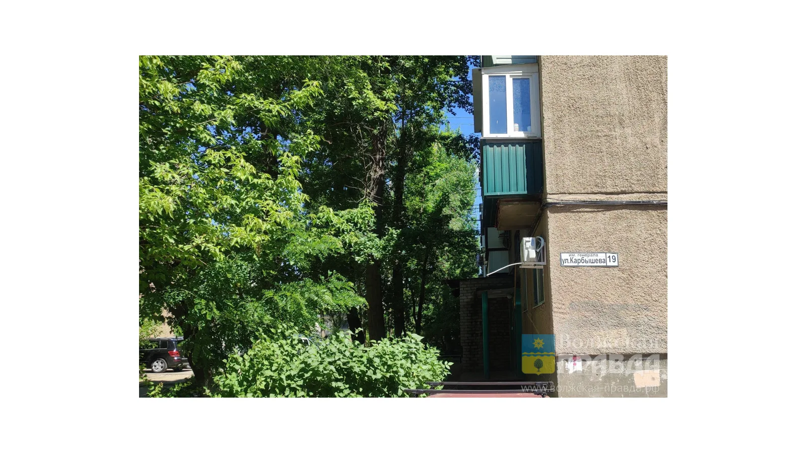 С пилой наперевес: как пенсионерка из Волжского разобралась с деревом, заслонявшим солнце