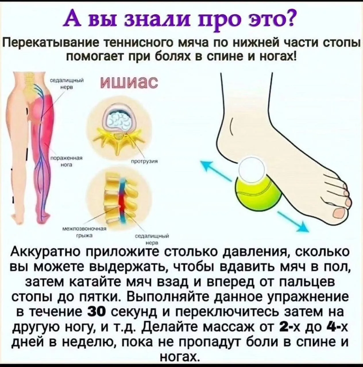 Полезно знать 🌿  ⚠️  Информация предоставлена в ознакомительных целях и не заменяет медицинскую помо
