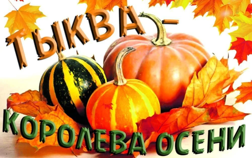 🎃 «Тайна целой тыквы» — наш осенний конкурс! 🎃🍂 Осень дарит нам много подарков, и од...