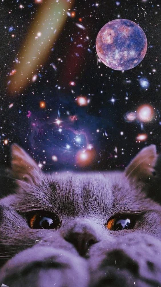 @oboi_wallpaper_kpop