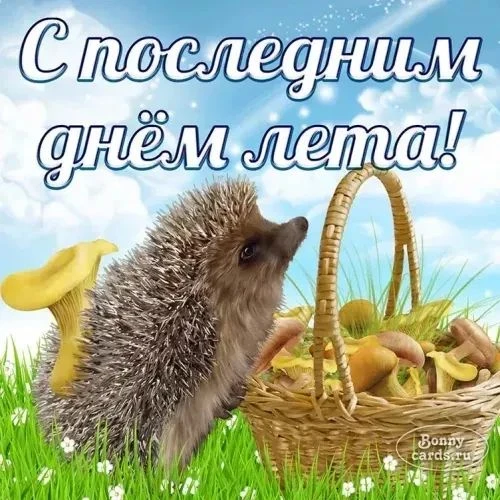 Последний день лета: прощание с летом и встреча осени