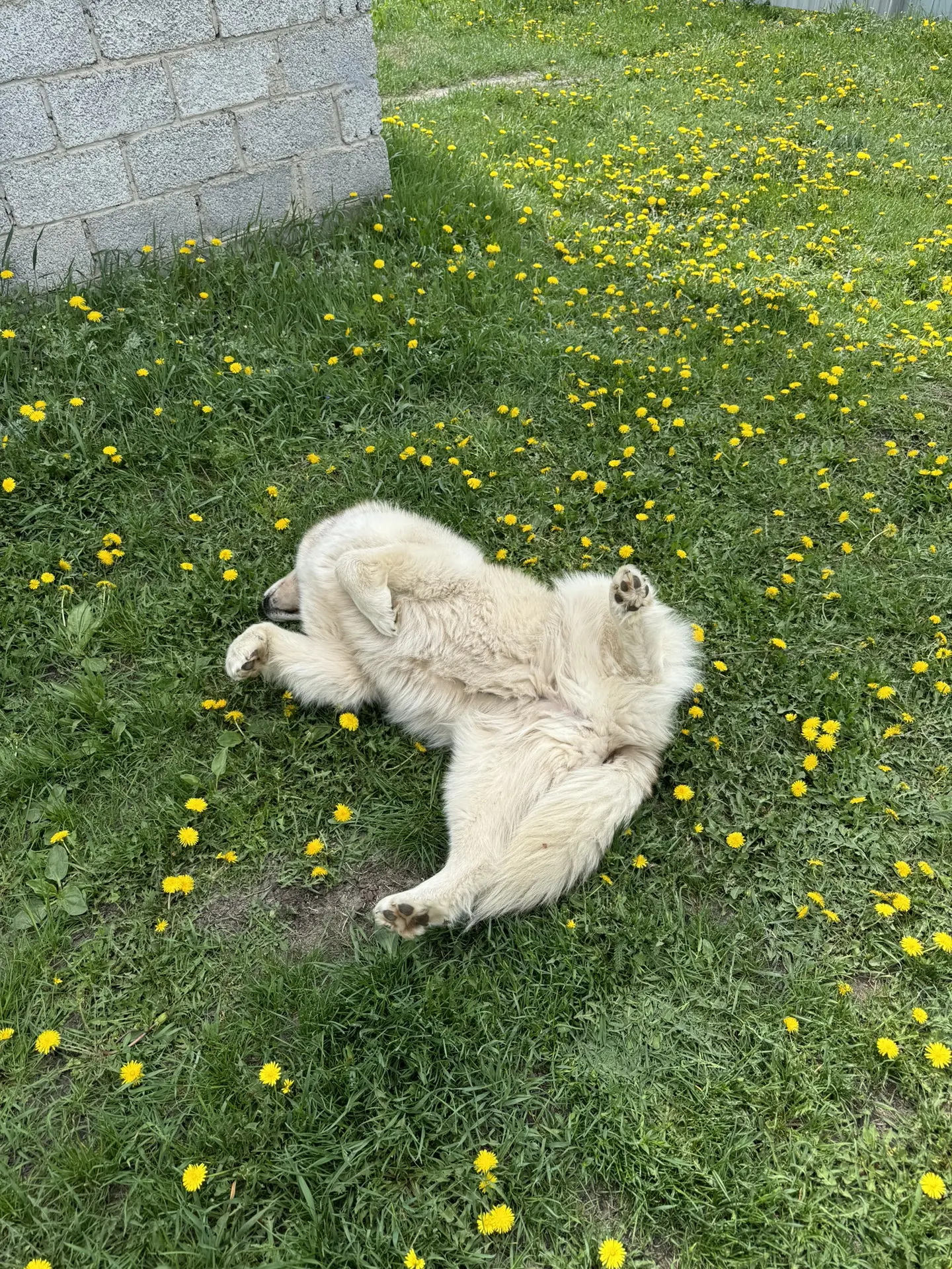 доброе утро! 🌼