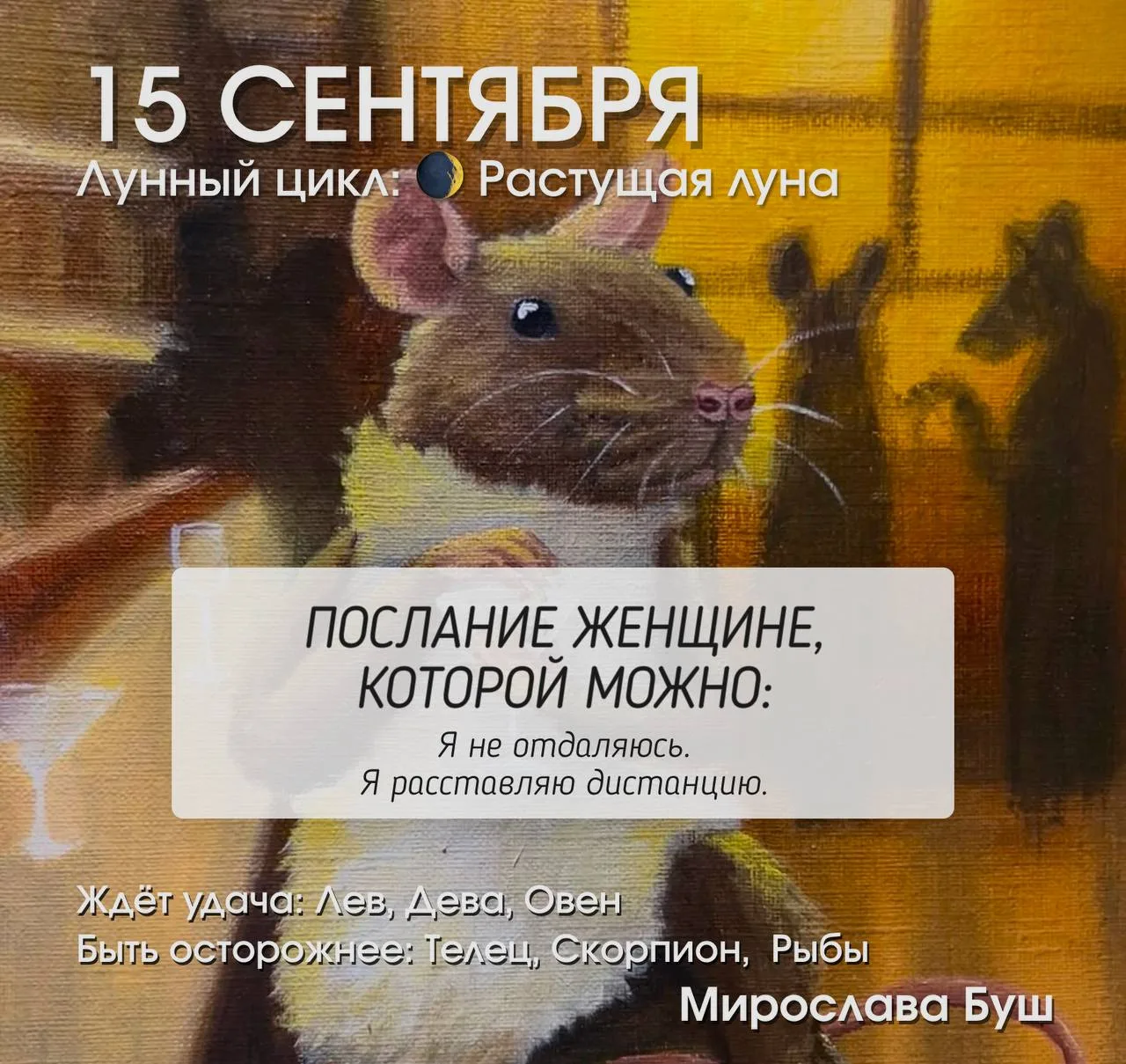 15 сентября РЕКОМЕНДАЦИИ 🔥