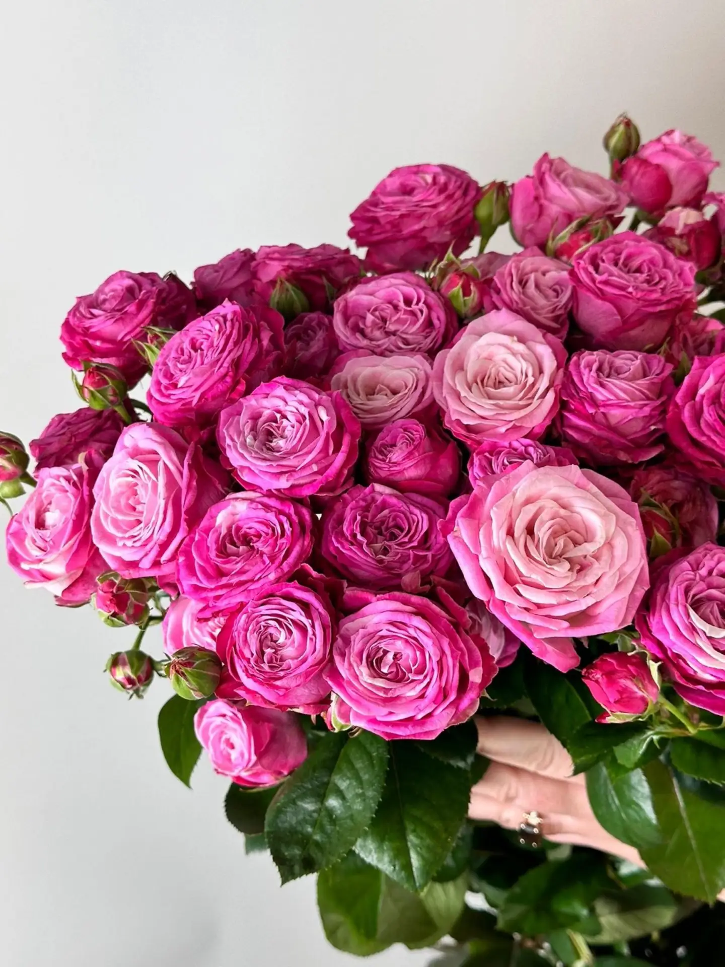 🌸 Свежее поступление