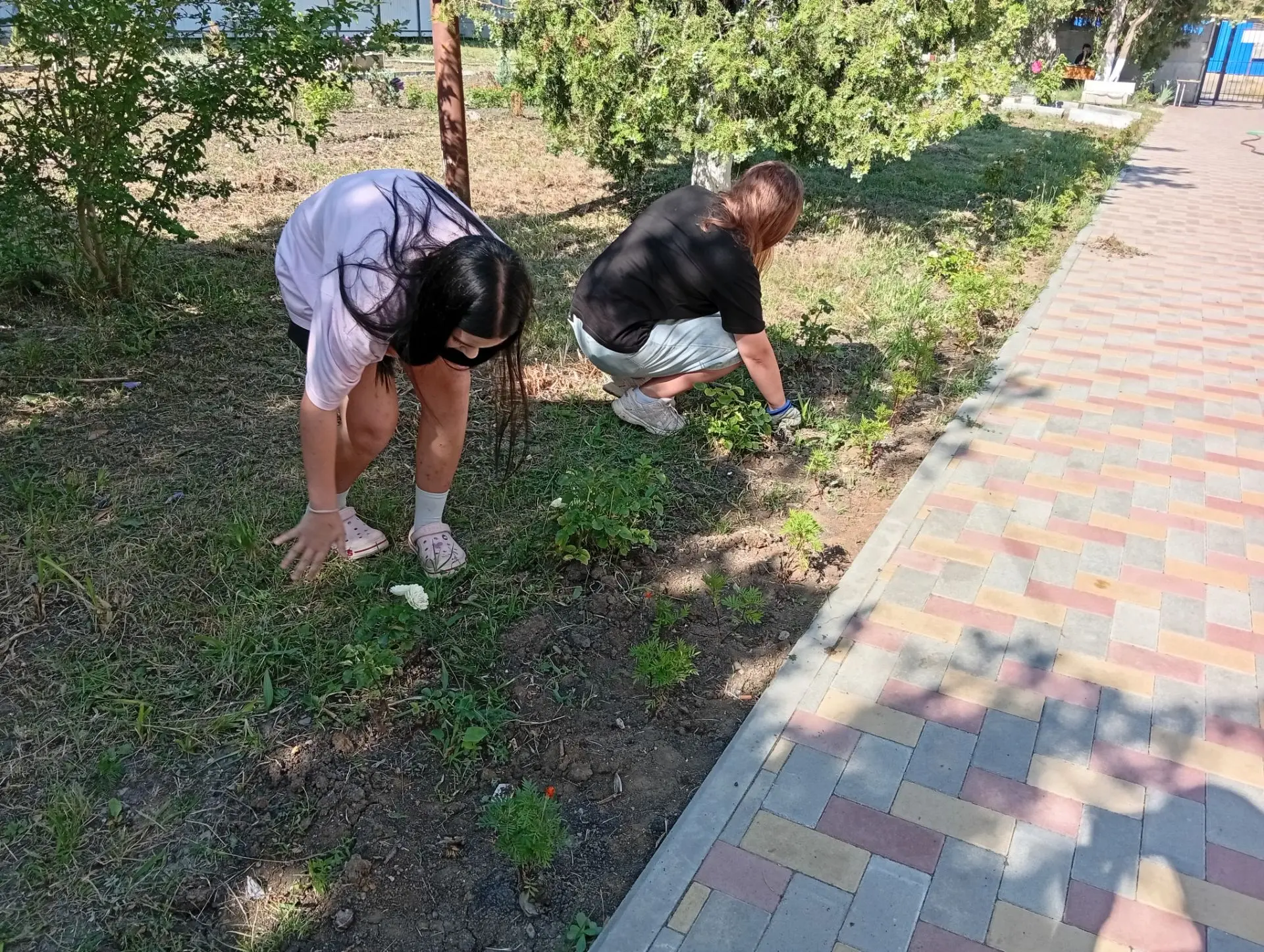 Учащиеся школы отрабатывают летнюю трудовую практику на пришкольном участке. Целью летней трудовой п