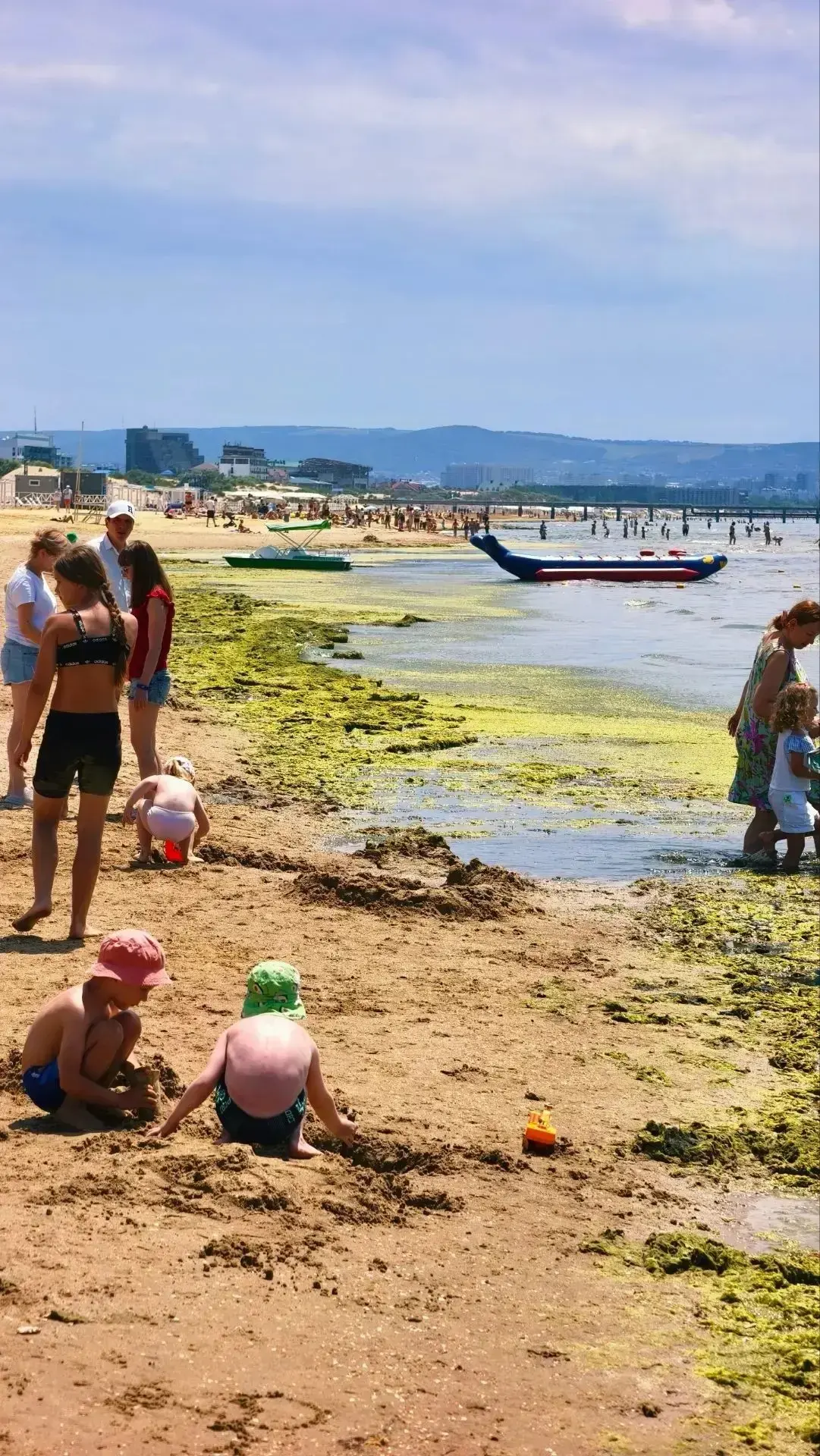 Море в Анапе превращается в болото: на пляжах зацвела камка