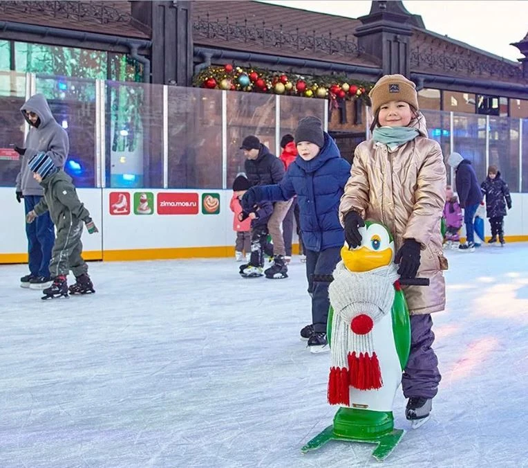 Самый популярный каток «Зимы в Москве» выбрали москвичи  На платформе «Активный гражданин» подвели и
