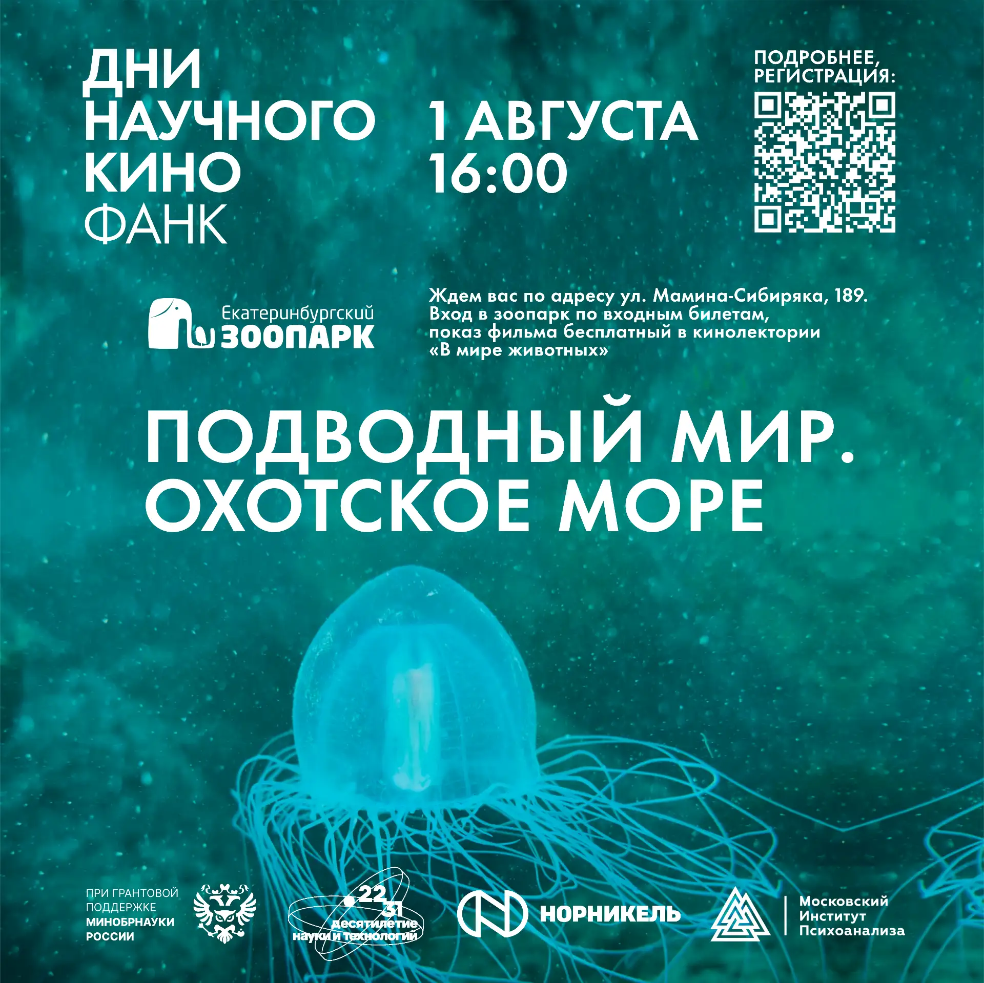 Погружение в Охотское море без гидрокостюма! 🌊

Зачем далеко ехать, если можно увидеть подводные со