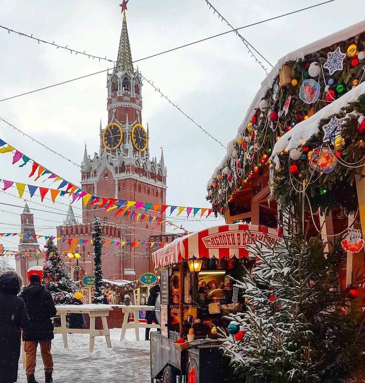 ❄️ Аномально тёплую и влажную зиму обещают в большинстве регионов России.