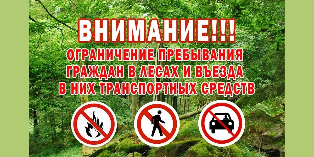 Ограничение пребывания граждан в лесах,а также въезд в них транспортных средств установ...