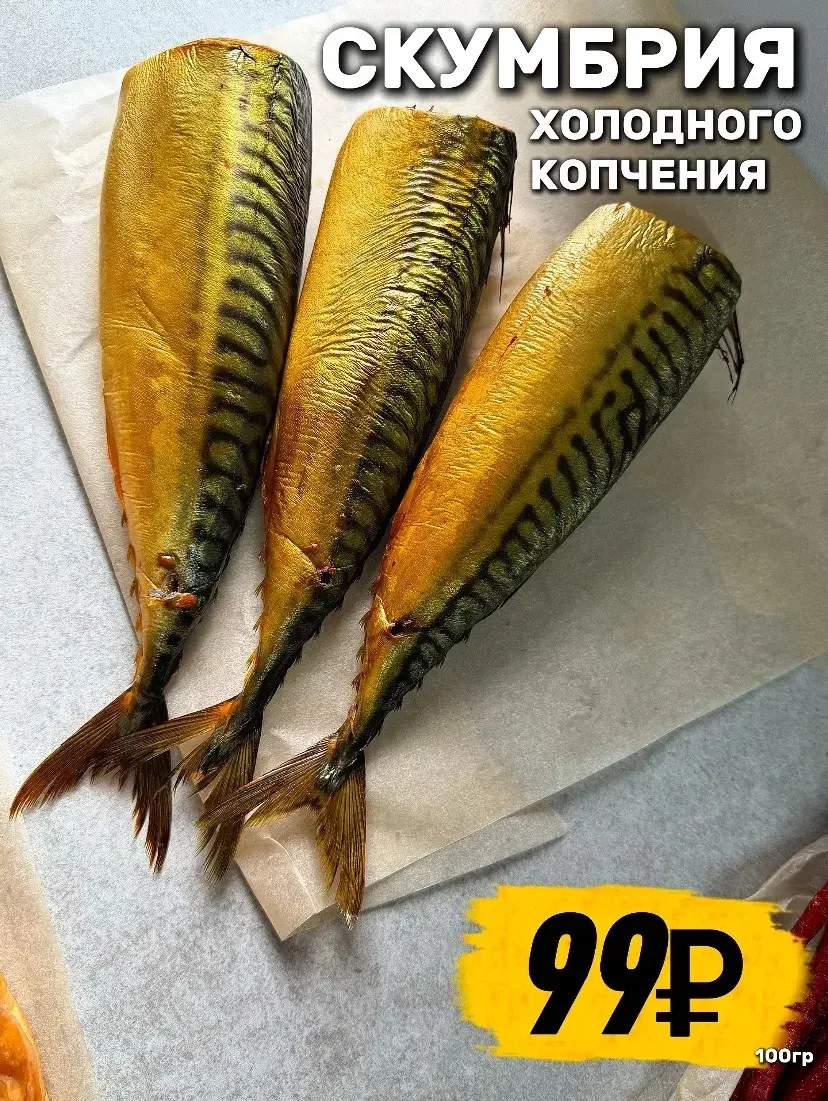🔥СОБРАЛИ ДЛЯ ВАС САМУЮ ВКУСНУЮ ПОДБОРКУ 🔥

Потрясающее поступление вяленой и копченой рыбки ✨

🐟 