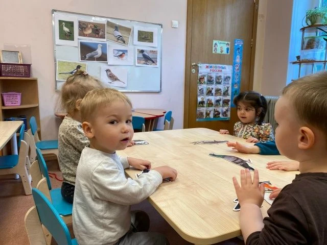 В младшей группе «Капельки» прошло увлекательное занятие посвященное теме «Птицы».
Мы с ребятами наз
