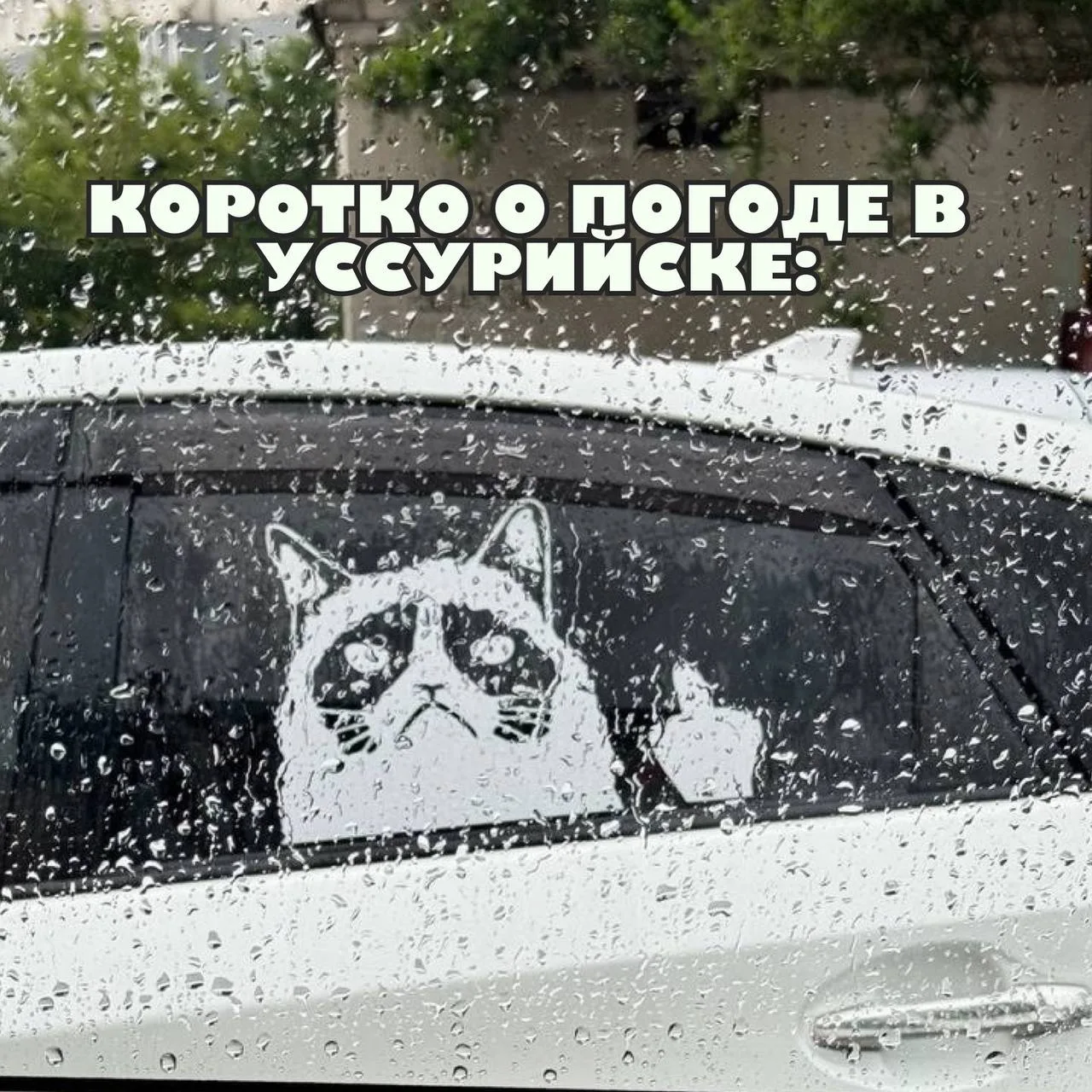 Ссылка на канал в МАХ: https://max.ru/m_chernosliv