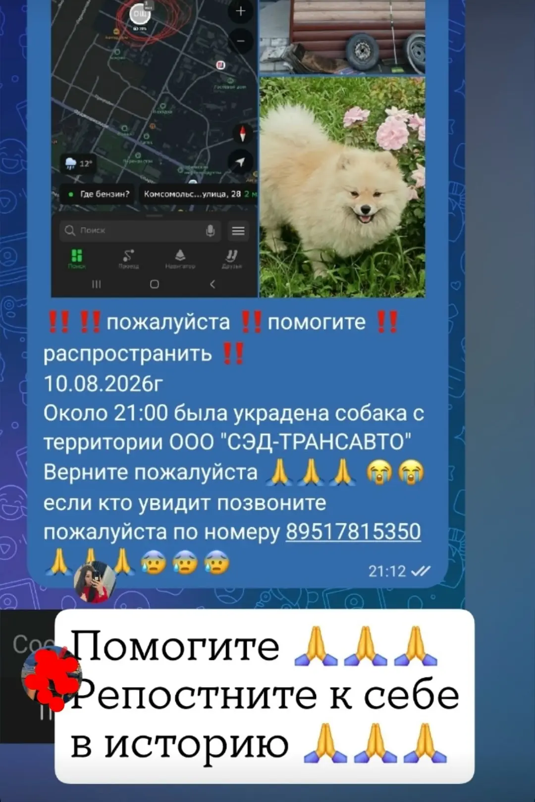 Ну верните  он ведь тоже хочет домой
