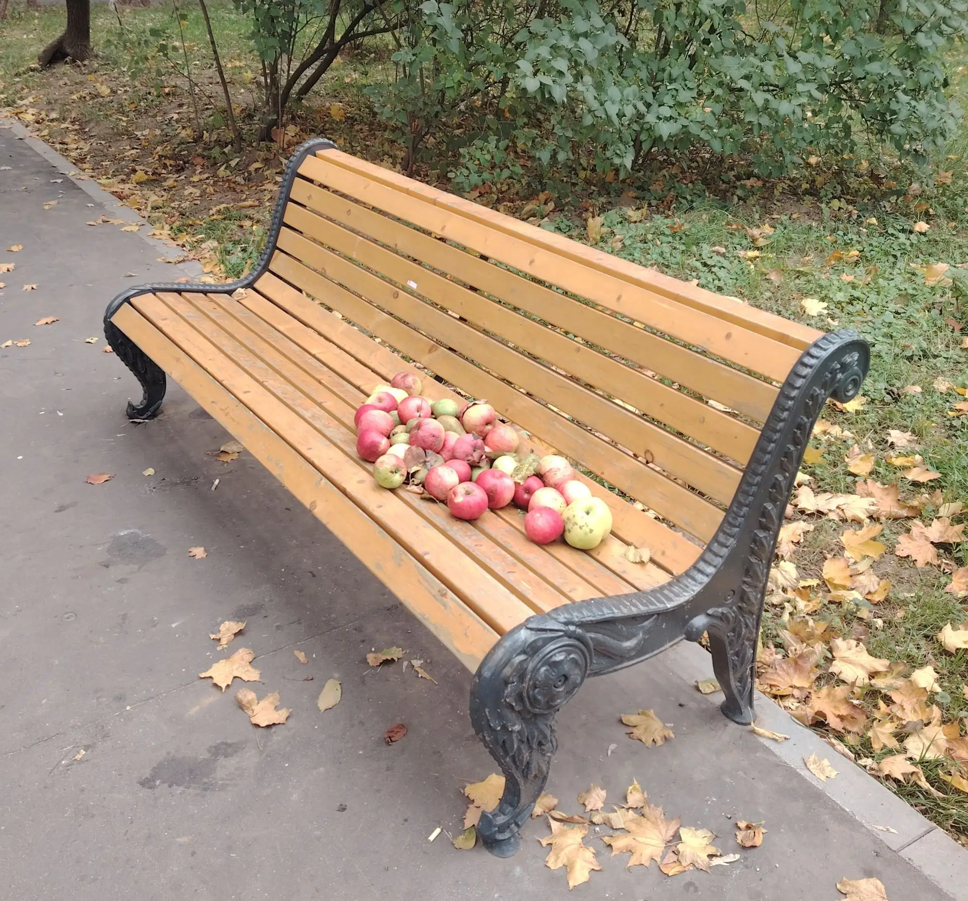 Впервые увидел сегодня в Москве россыпь спелых яблок не на торговом прилавке, а на лаво...