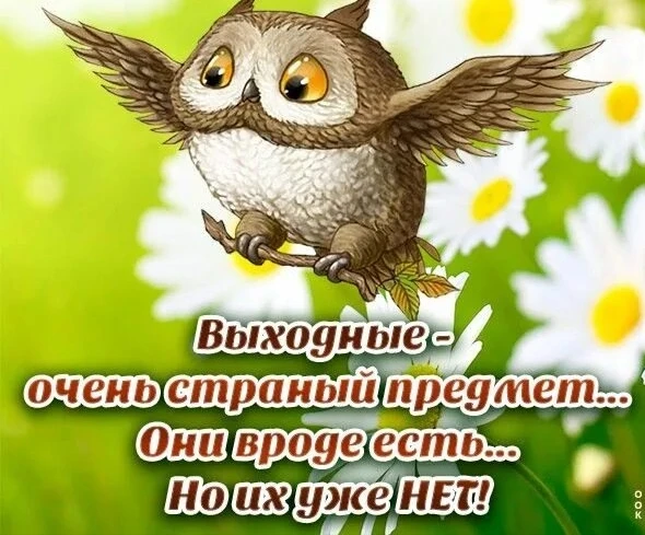 ...Действительно, именно выходные, по странному стечению обстоятельств, очень быстро за...