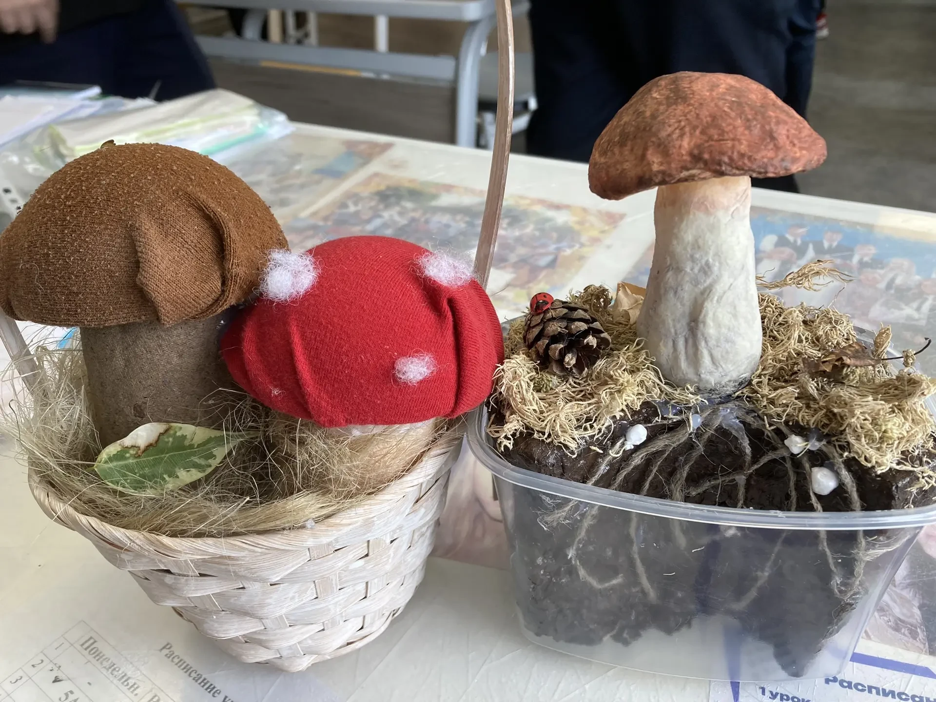 🌿 🍄 Вы знали, что грибы – это не растения и не животные? Это целое отдельное царство природы, которо