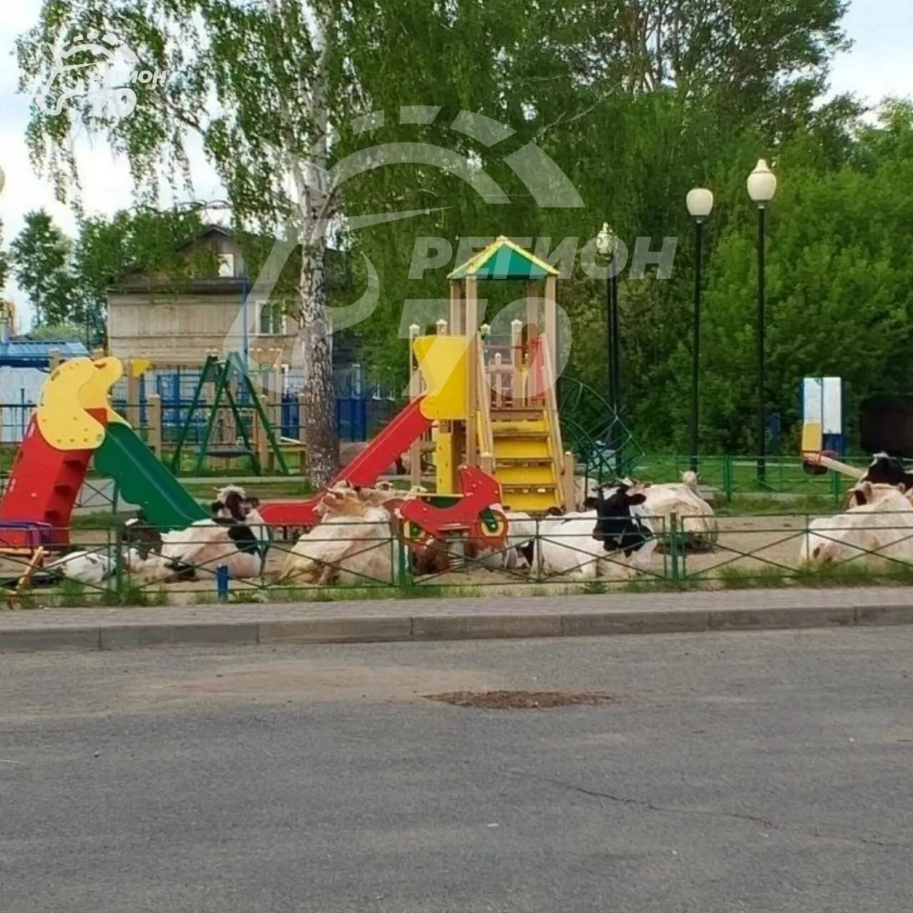 В Асино произошло неприятное событие. На детской площадке в микрорайоне Лесозавод дети ...