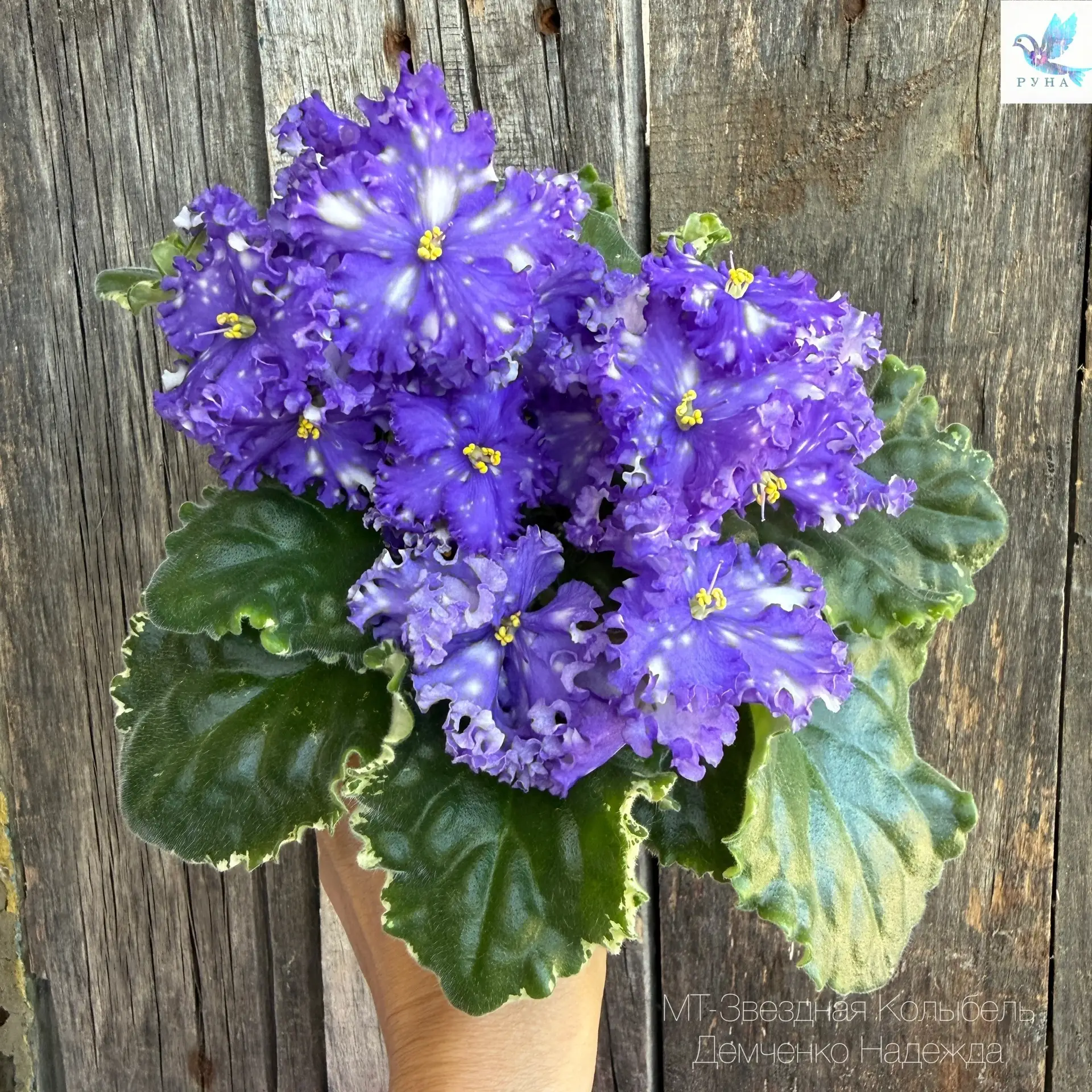 Доброго денечка вам, дорогие мои 🤗