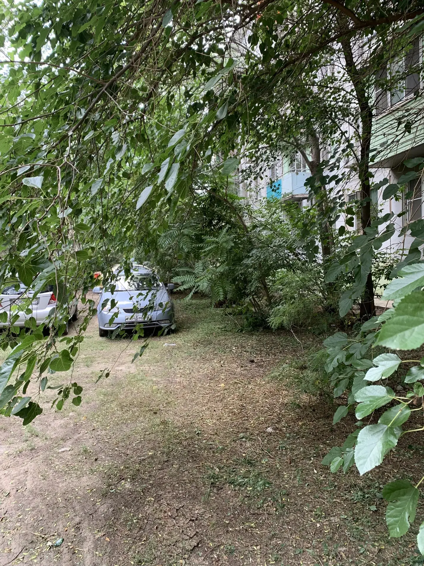 Плановый покос сорной растительности ул.бульвар Победы д.8/1 ул.бульвар Победы д.10 ул.Савушкина д.2