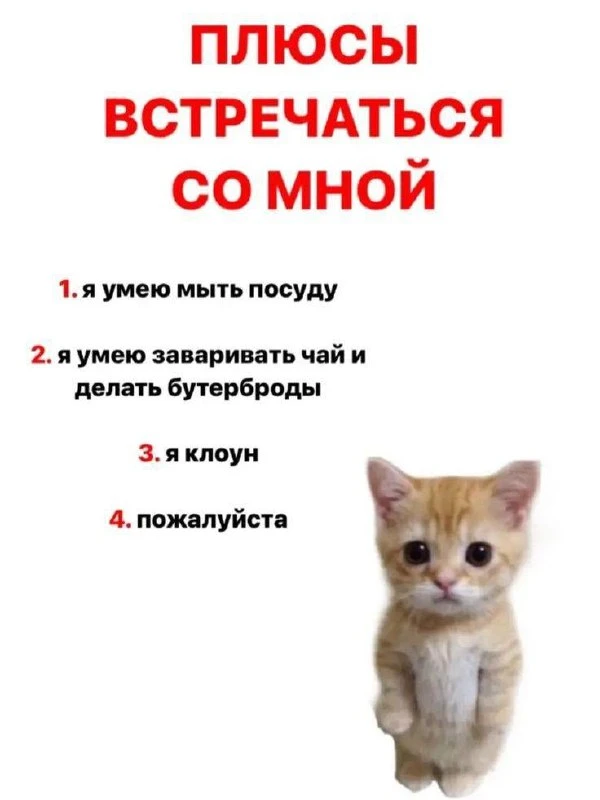 Мемы каждый день • Подписаться