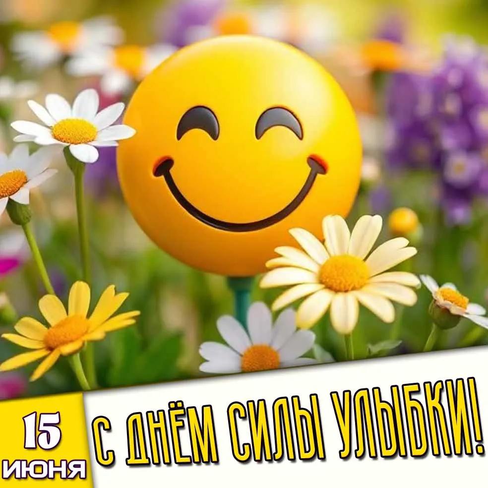 https://max.ru/invista123456