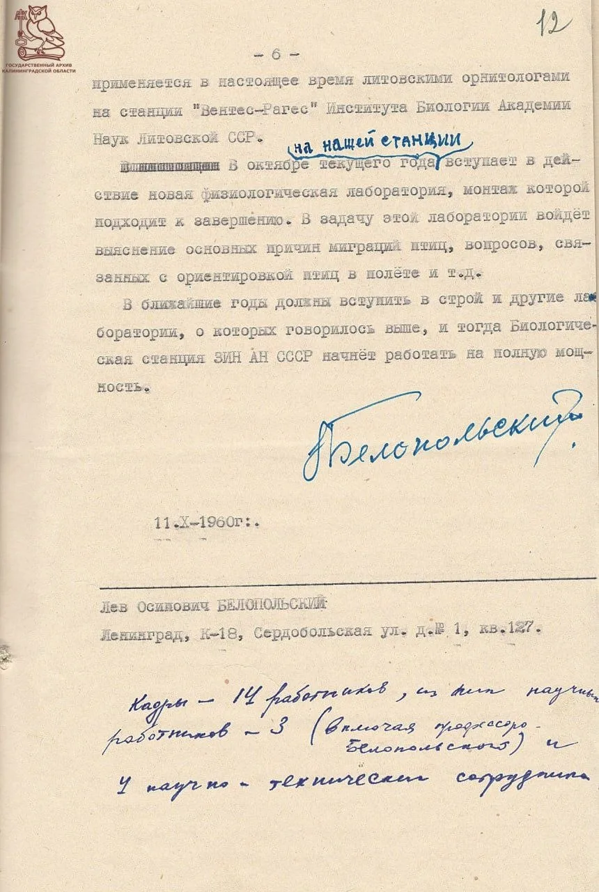 Изображение 6 к публикации «Эй, Калининград»