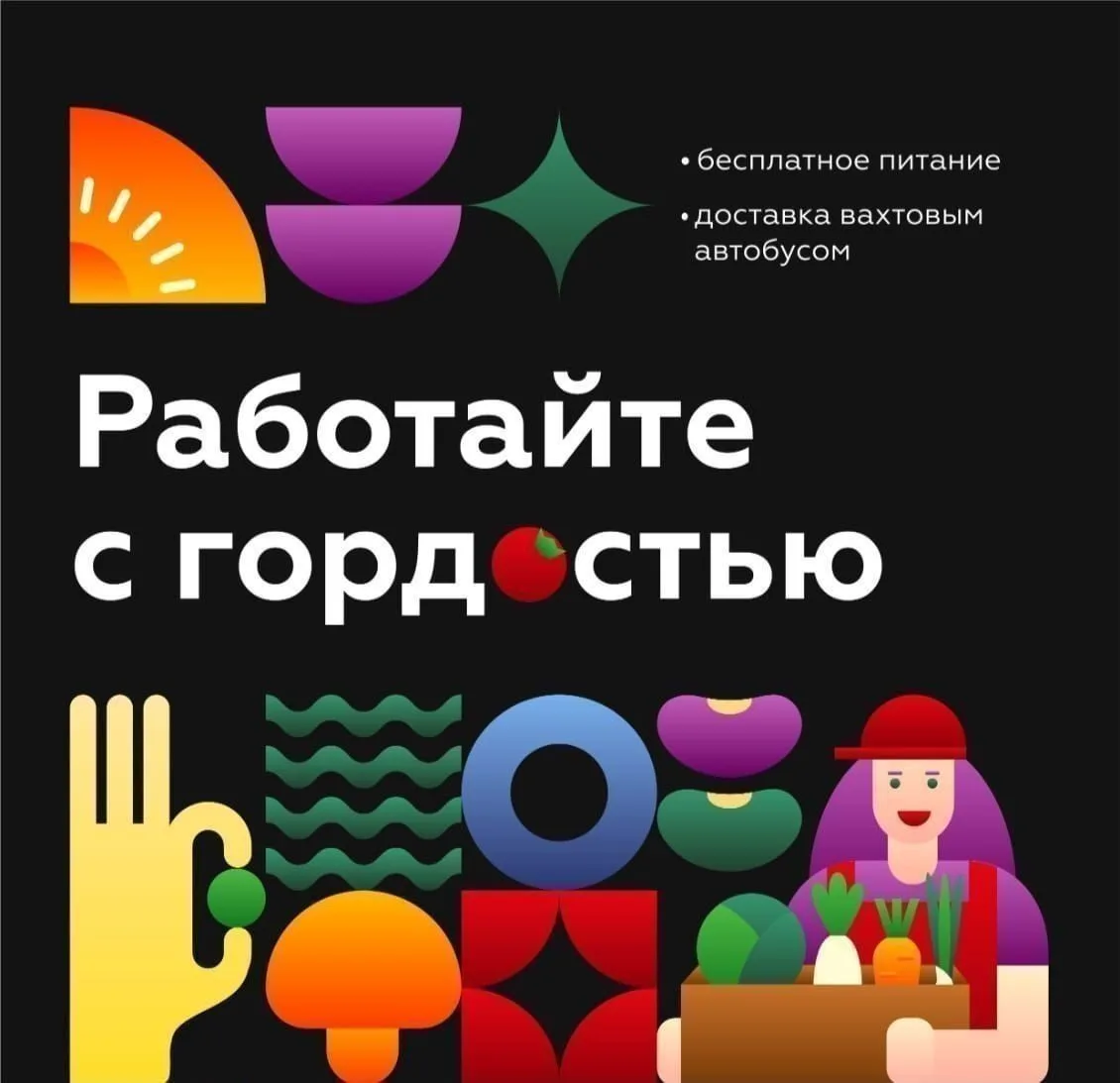 ПРИГЛАШАЕМ НА РАБОТУ:

✅ РАБОЧИХ В ТЕПЛИЦУ
з/п 67 000 - 90 000 ₽ (сдельная)
✅ ГРУЗЧИКОВ
з/п от 50 00