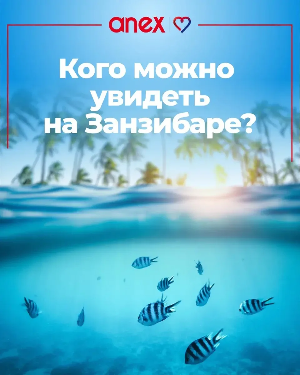 Осторожно! Эти изображения вызывают внезапное чувство восторга 😍