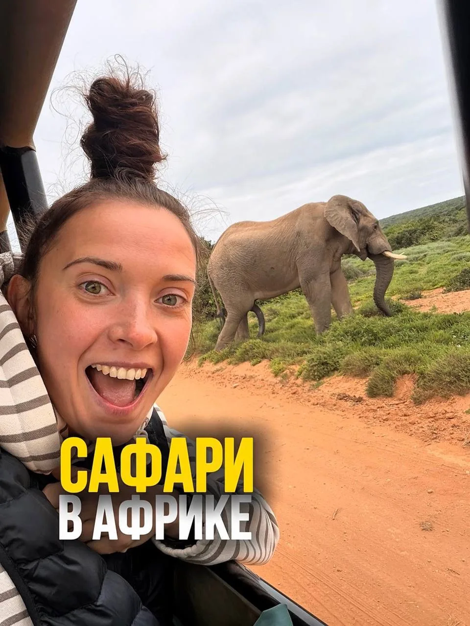 🦁 Сафари в ЮАР — и знакомство с «Большой пятёркой»!