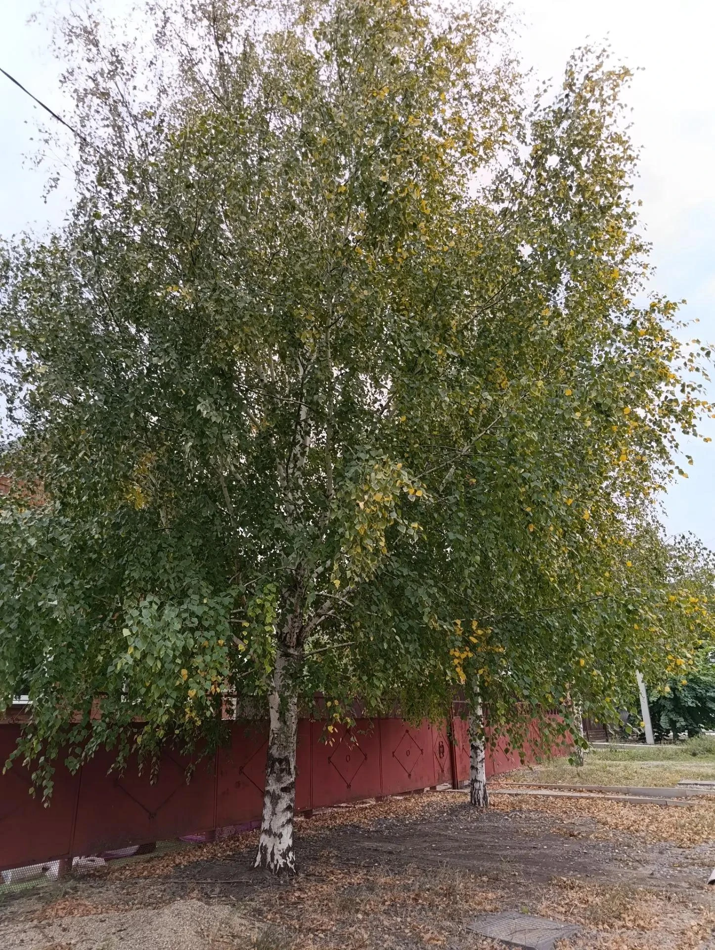 ☀️ Доброе субботнее утро!
