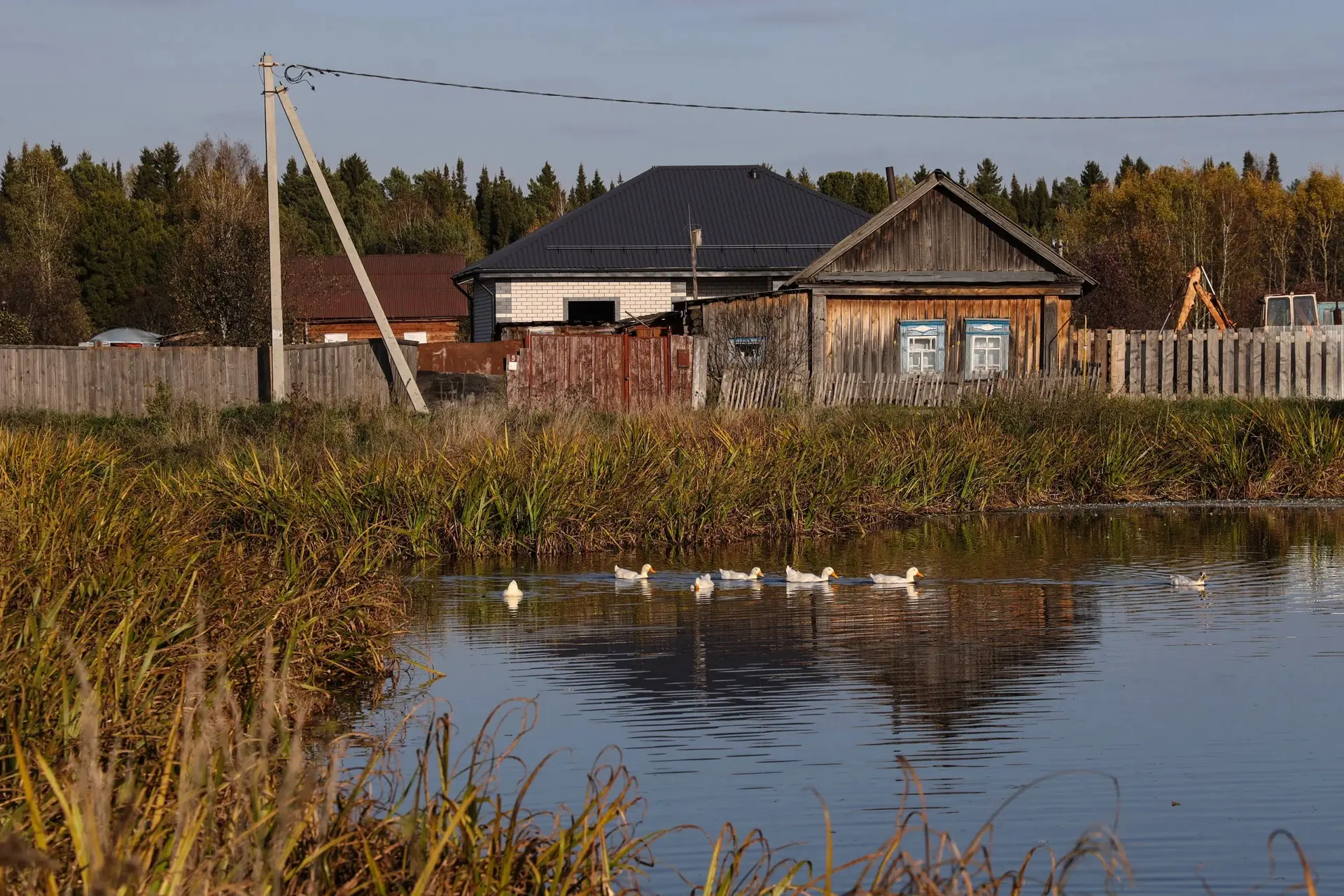 Утро в деревне