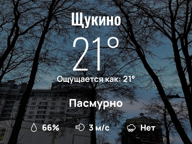 Что с погодой в Щукино?