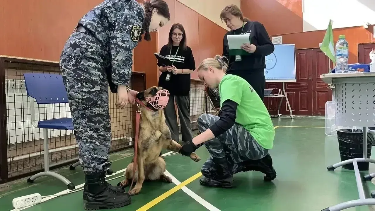 Студентка белгородского колледжа победила в престижном конкурсе кинологов  Анастасия Донченко, студе