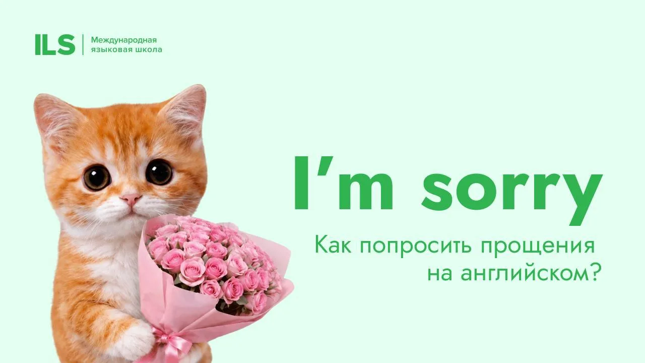 Простите нас 🥺