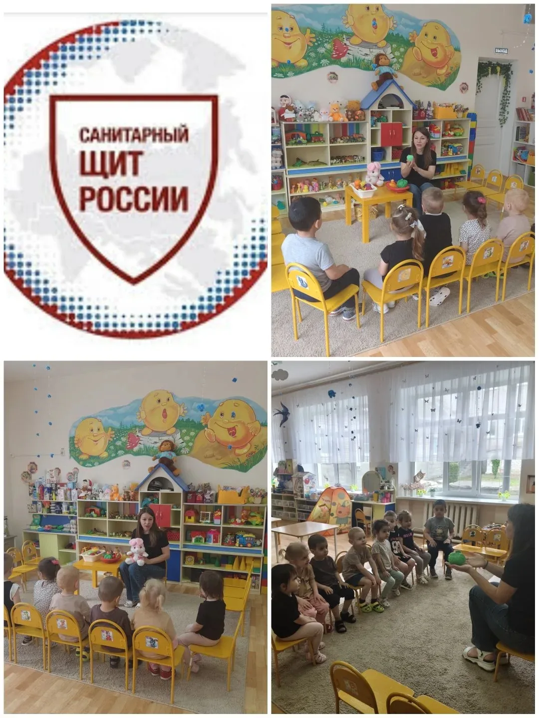 Санитарный щит