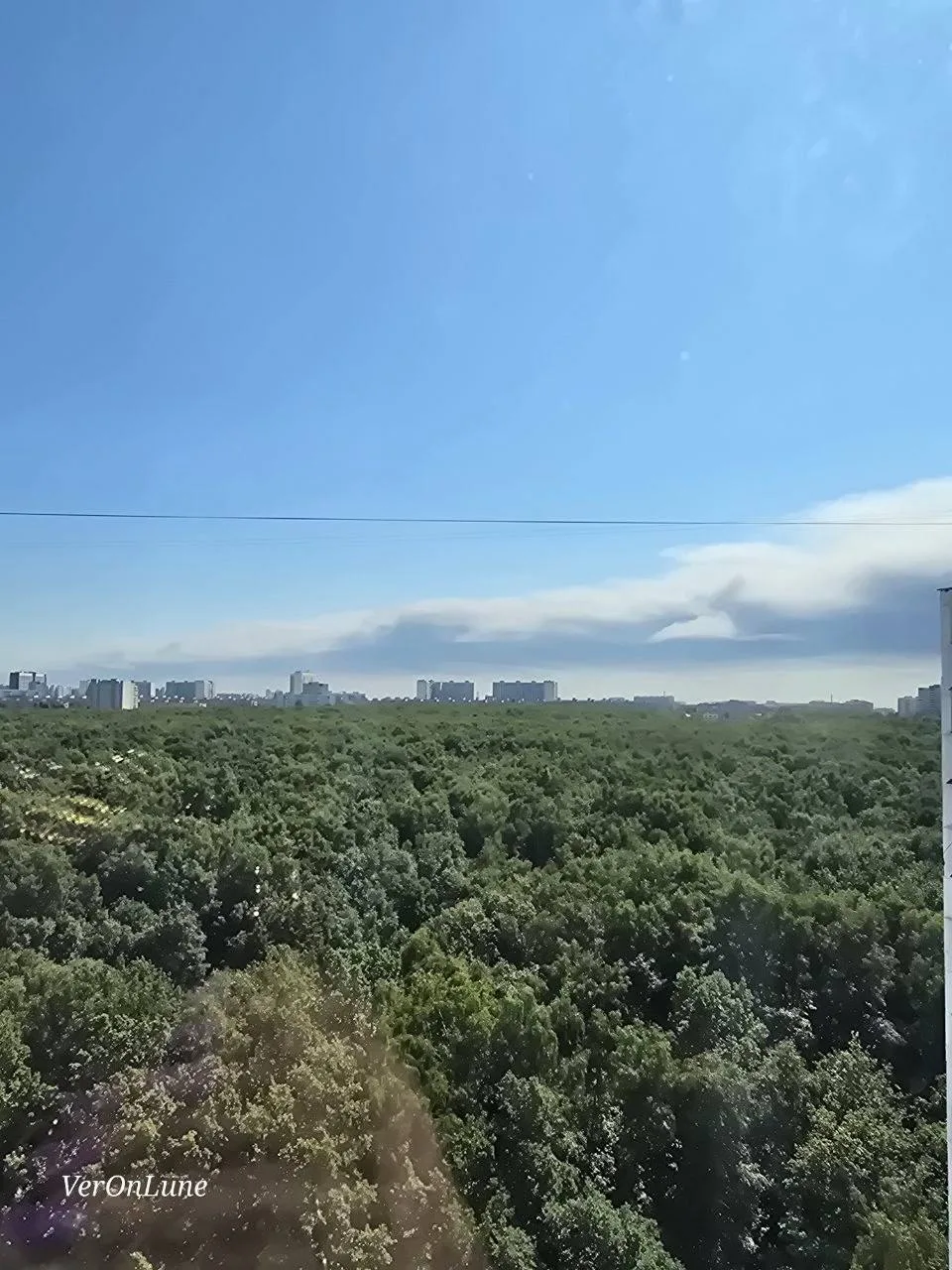 Смотрим вдаль за лес 😍