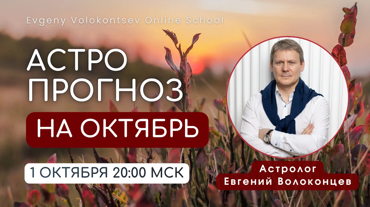 Дорогие друзья,