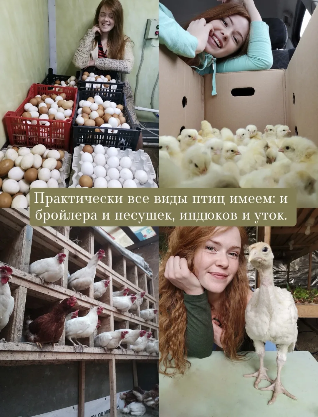 Изображение 6 к публикации «Огород с Зизюлей»