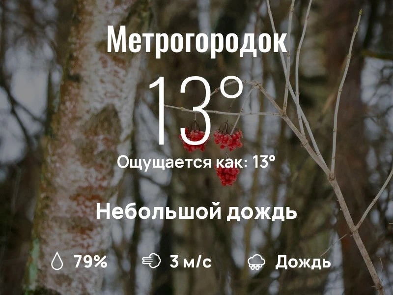 Что с погодой в Метрогородке?