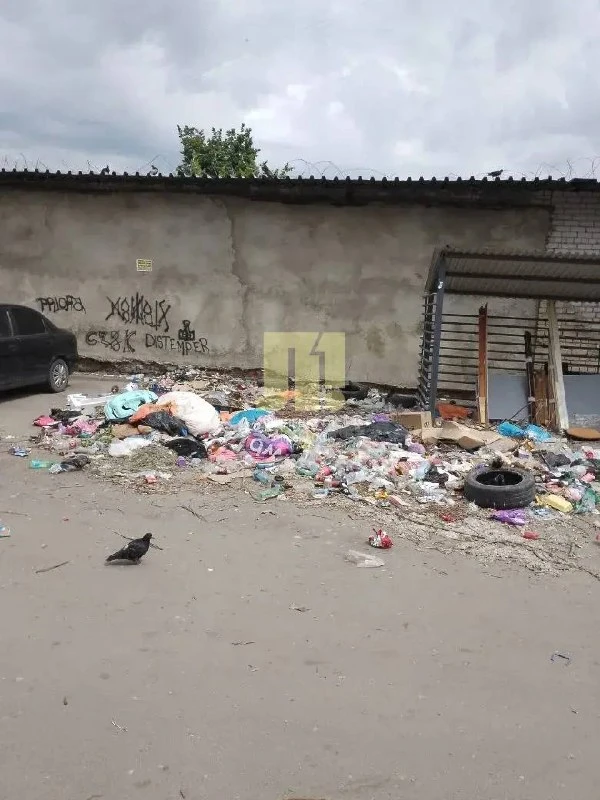На фото — площадка для мусора на Победы, 49 и 51.